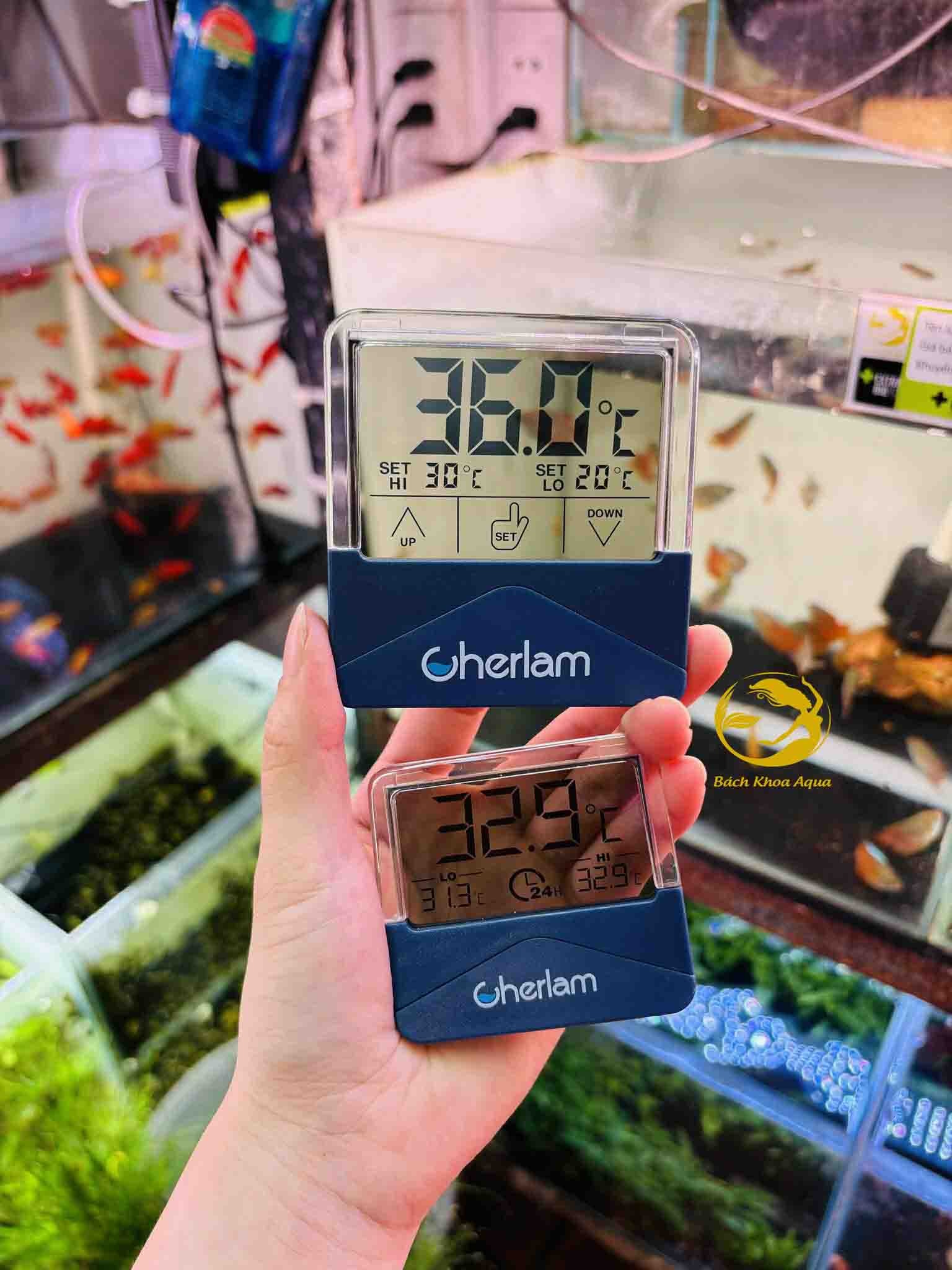 Nhiệt kế điện tử Cherlam CWD-002 / CWD-003
